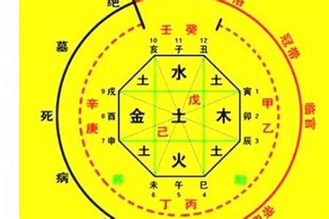 五行喜什么|八字喜用神在线查询器,五行喜什么查询免费